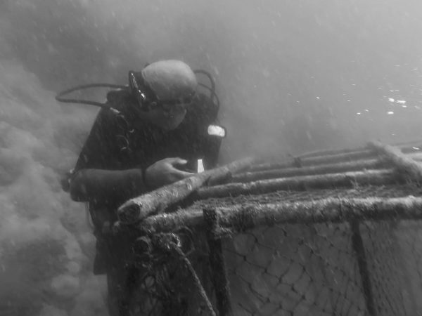removing illegally set fishing cages
