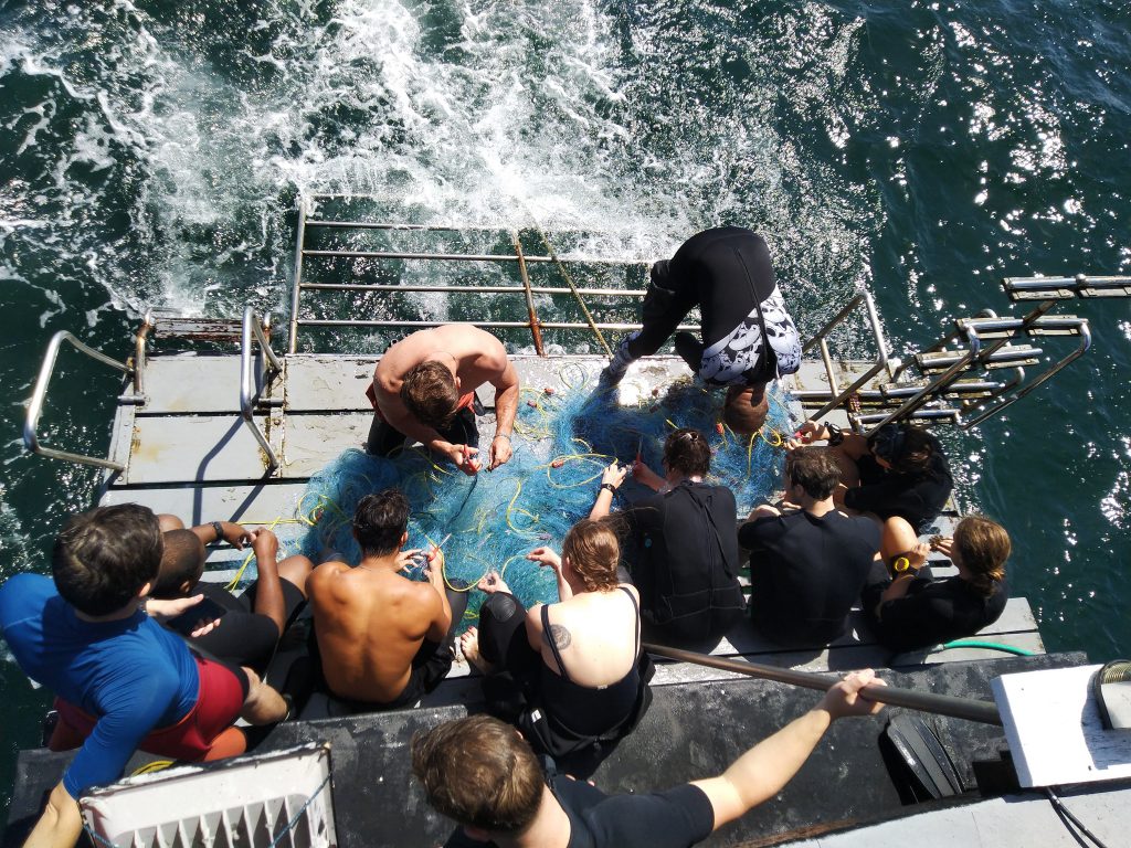 Ocean conservation Volunteer work Abandoned Fishing Net removal